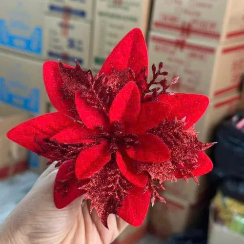 1 HOA TRẠNG NGUYÊN – một lựa chọn đáng tham khảo trong Bao lì xì Tết