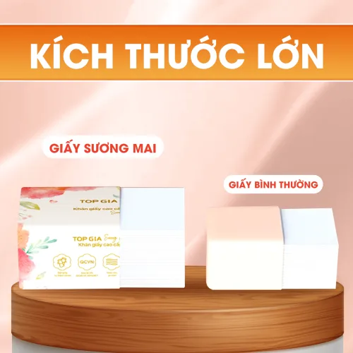 Topgia Sương Mai Giấy Ăn 1 Thùng 10 Gói 460 Tờ