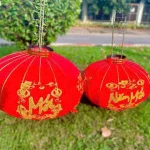 Bảng giá sỉ 2 LỒNG ĐÈN NHUNG KẺ TẾT 80CM(Giá 2 cái)
