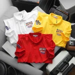 Áo Thun Nam Cổ Bẻ In Logo Trước Ngực Và Tay Áo (Có Size 3X)