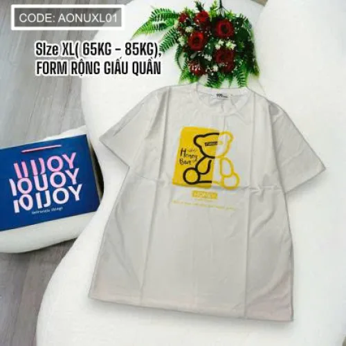 Áo Thun Nữ Cổ Tròn Size XL (65-85kg)