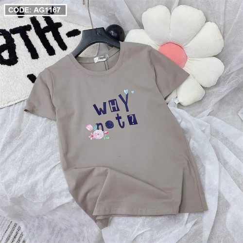 Áo thun thái nữ form rộng in chữ why not