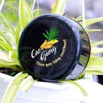 Cao Gừng Tan Mỡ Bụng Thiên Nhiên Việt 250g Phiên Bản 2025 - Tặng Cao Gừng Nghệ Đỏ