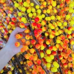 Phân phối combo 10 cành đông đào vàng 12 nhánh