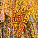Phân phối combo 10 cành đông đào vàng 12 nhánh