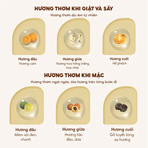 Sỉ combo 2 Túi Nước Giặt Xả Top Gia Hương Lavender 3in1 Dịu Nhẹ 2L/Túi