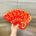 Phân phối combo 50 Bao Lì Xì Tết Ất Tỵ 2025