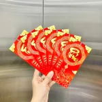 Phân phối combo 50 Bao Lì Xì Tết Ất Tỵ 2025