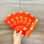 Phân phối combo 50 Bao Lì Xì Tết Ất Tỵ 2025