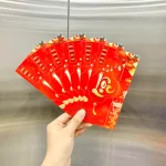 Phân phối combo 50 Bao Lì Xì Tết Ất Tỵ 2025
