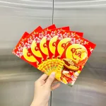 Phân phối combo 50 Bao Lì Xì Tết Ất Tỵ 2025