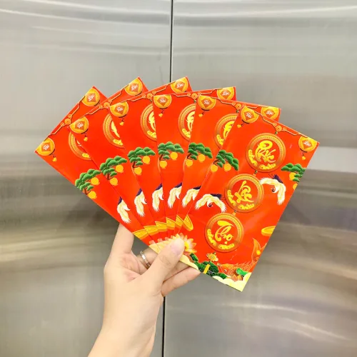 Phân phối combo 50 Bao Lì Xì Tết Ất Tỵ 2025