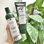 Đánh giá combo bộ dầu gội xả Weilaiya mọc tóc chiết xuất gừng xả