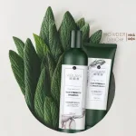Đánh giá combo bộ dầu gội xả Weilaiya mọc tóc chiết xuất gừng xả