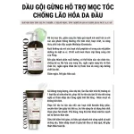 Bộ gội xả gừng Weilaiya Zingiber X2 Ginger Essence màu nâu