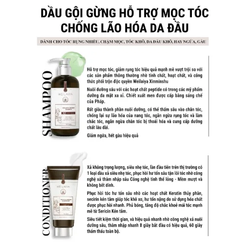 Bước 4: Thoa lượng vừa đủ và massage nhẹ trong 1–3 phút — Dầu Gội Xả Gừng Weilaiya Zingiber