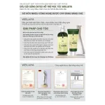 Đánh giá combo Dầu Gội Xả Gừng Weilaiya Màu Xanh Zingiber Detox X2 Ginger Essence Giúp Tóc Bóng Khỏe Giảm Gãy Rụng