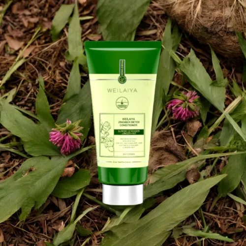 Đánh giá combo Dầu Gội Xả Gừng Weilaiya Màu Xanh Zingiber Detox X2 Ginger Essence Giúp Tóc Bóng Khỏe Giảm Gãy Rụng
