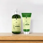 Đánh giá combo Dầu Gội Xả Gừng Weilaiya Màu Xanh Zingiber Detox X2 Ginger Essence Giúp Tóc Bóng Khỏe Giảm Gãy Rụng
