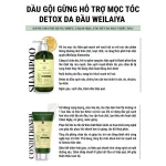 Đánh giá combo Dầu Gội Xả Gừng Weilaiya Màu Xanh Zingiber Detox X2 Ginger Essence Giúp Tóc Bóng Khỏe Giảm Gãy Rụng