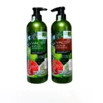 Combo dầu gội xả Grapefruit Valert