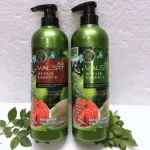 Combo dầu gội xả Grapefruit Valert