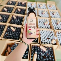 Đánh giá dầu Gội Cốt Bồ Kết Hà Thủ Ô Nhân Sâm Đỏ X6 Dr Di Hi