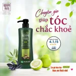 Dầu Gội Dược Liệu Nguyên Xuân Cho Tóc Hư Tổn 450ml - Xanh Lá Đậm
