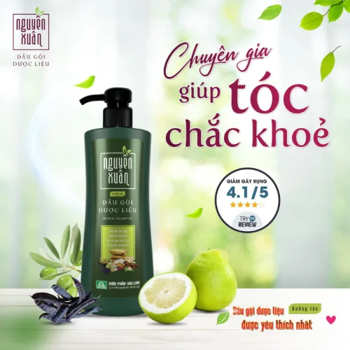 Dầu Gội Dược Liệu Nguyên Xuân Cho Tóc Hư Tổn 450ml - Xanh Lá Đậm