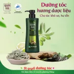Dầu Gội Dược Liệu Nguyên Xuân Cho Tóc Hư Tổn 450ml - Xanh Lá Đậm