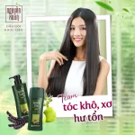 Dầu Gội Dược Liệu Nguyên Xuân Cho Tóc Hư Tổn 450ml - Xanh Lá Đậm