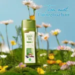 Bảng giá sỉ dầu Gội Nguyên Xuân Dược Liệu Dưỡng Tóc Hương Bưởi 250ml - Xanh Lá Nhạt