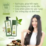 Dầu Gội Nguyên Xuân Dược Liệu Dưỡng Tóc Hương Bưởi 520g - Xanh Lá Nhạt