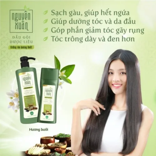 Dầu Gội Nguyên Xuân Dược Liệu Dưỡng Tóc Hương Bưởi 520g - Xanh Lá Nhạt