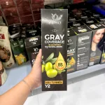 Phân phối dầu Gội Phủ Bạc Yeho Y2 425g - Dầu Gội Nhuộm Phủ Bạc Màu Nâu