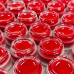 Bảng giá sỉ dưỡng Hồng Môi Collagen Lựu Đỏ LIPSHE Beauty