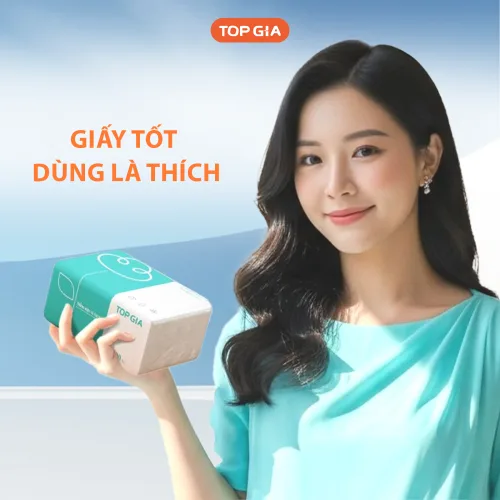 Bịt 10 Gói Nhỏ Giấy Ăn Top Gia 3 Màu