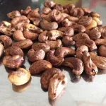 Hạt điều rang muối đóng hộp PET, khối lượng 300g