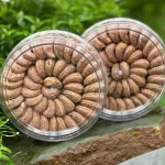 Hạt Điều Rang Muối Xếp Hoa 500g - Hạt Điều Đặc Sản Bình Phước Thơm Ngon