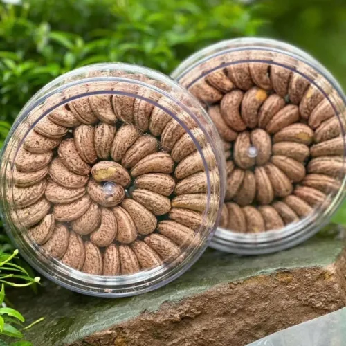 Hạt Điều Rang Muối Xếp Hoa 500g - Hạt Điều Đặc Sản Bình Phước Thơm Ngon