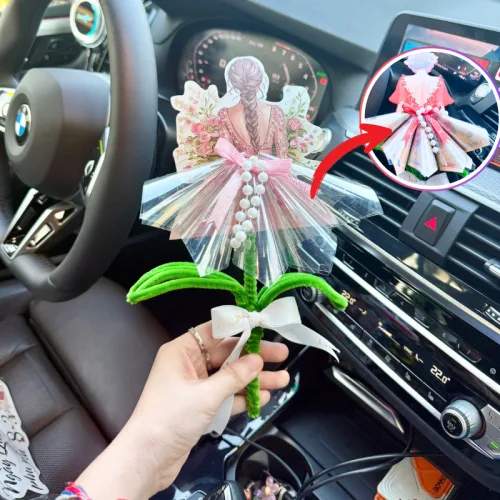 Hoa Gài Tiền - Hoa Gắn Tiền - Hoa Đựng Cô Gái Trong Suốt - Ngẫu Nhiên phù hợp để tham khảo khi chọn Quà tặng sinh nhật