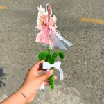 Hoa Gài Tiền - Hoa Gắn Tiền - Hoa Đựng Cô Gái Trong Suốt - Ngẫu Nhiên