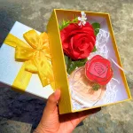 Hộp Quà Giấy Chữ Nhật Lớn Nhiều Màu Nắp Rời Có Thắt Nơ - Hộp Không Có Hoa Rơm