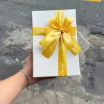 Hộp Quà Giấy Chữ Nhật Lớn Nhiều Màu Nắp Rời Có Thắt Nơ - Hộp Không Có Hoa Rơm