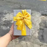 Hộp Quà Giấy Chữ Nhật Nhỏ Nhiều Màu Nắp Rời Có Thắt Nơ - Hộp Không Có Hoa Rơm