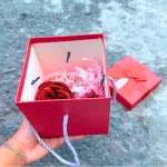 Hộp Quà Giấy Vuông Màu Đỏ Nắp Rời Có Quai Xách - Hộp Có Hoa Kim Tuyến Rơm Đèn Đom Đóm