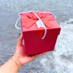 Hộp Quà Giấy Vuông Màu Đỏ Nắp Rời Có Quai Xách - Hộp Có Hoa Kim Tuyến Rơm Đèn Đom Đóm