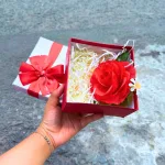 Hộp Quà Giấy Vuông Nhiều Màu Nắp Rời Đính Nơ Xinh - Hộp Vừa Không Có Hoa Rơm