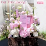 Kem chống nắng Hạt Thiên Đường Meea Premium SPF 50+ PA++++, 50 g