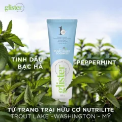 Sỉ kem Đánh Răng Amway Glister Phiên Bản Mới
